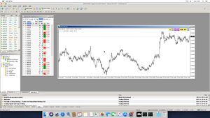 Instalar Metatrader 4 ó 5 y FX Panel en MacOs